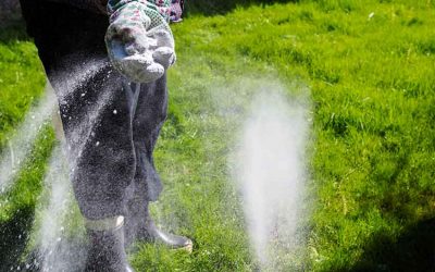 Lime and Fertilizer for your lawn