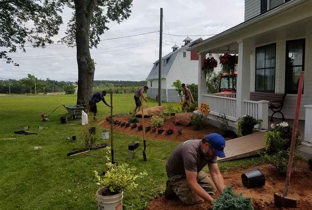 General Lawn Care and Flower Bed Clean-up