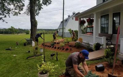General Lawn Care and Flower Bed Clean-up