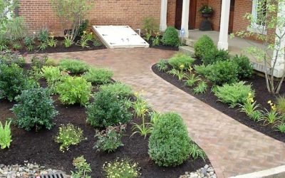 What are the benefits of mulch?