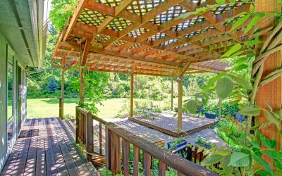 Landscaping Trends for 2022