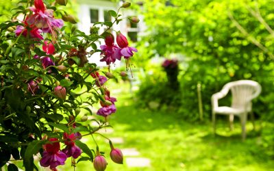 Landscaping Trends 2023